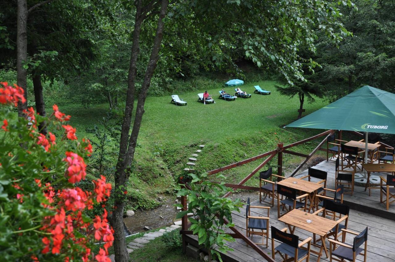 Pensiunea Anotimpuri Predeal Buitenkant foto