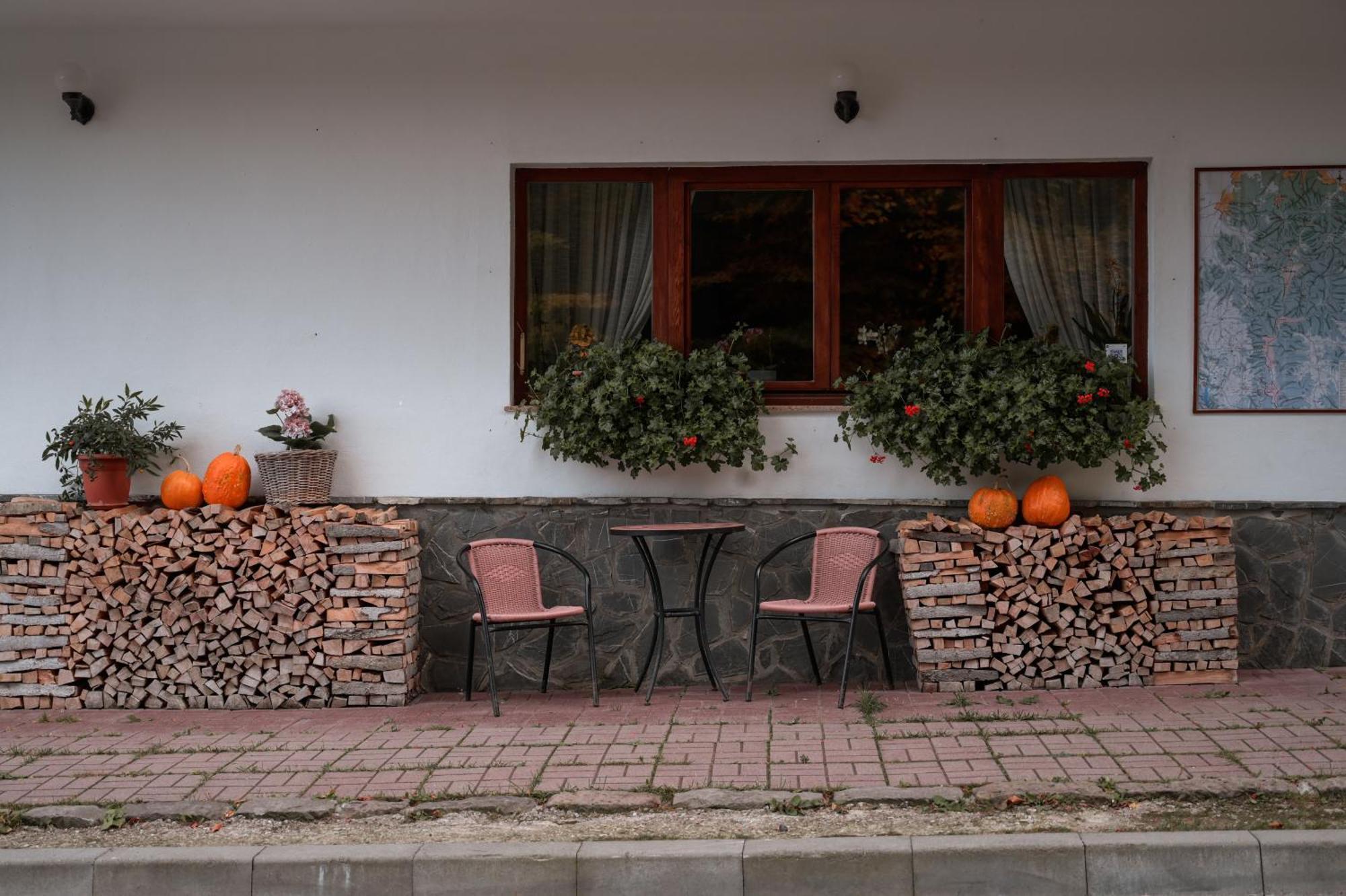 Pensiunea Anotimpuri Predeal Buitenkant foto
