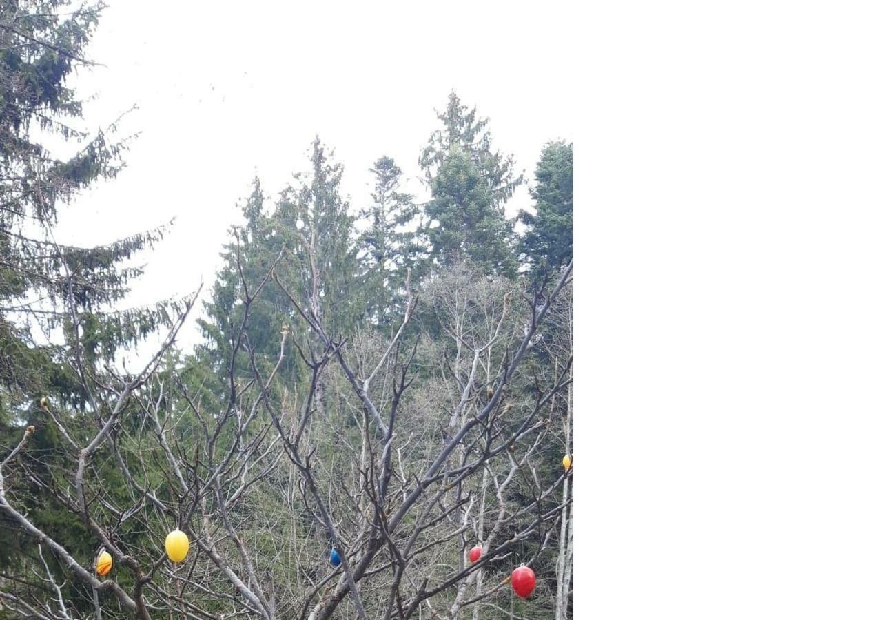 Pensiunea Anotimpuri Predeal Buitenkant foto