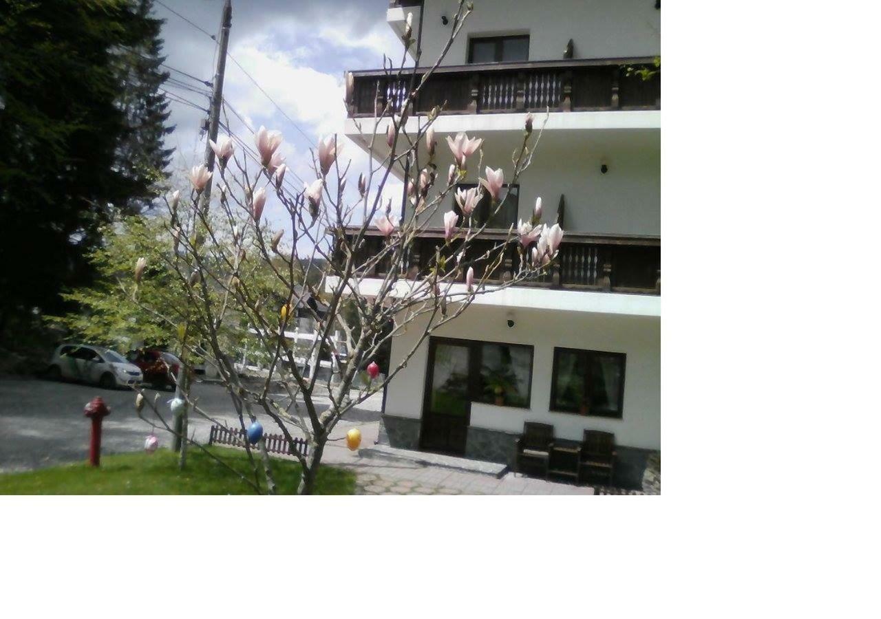 Pensiunea Anotimpuri Predeal Buitenkant foto